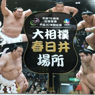 大相撲 春日井場所 平成30年秋巡業  1F正面椅子席 最前列 ...