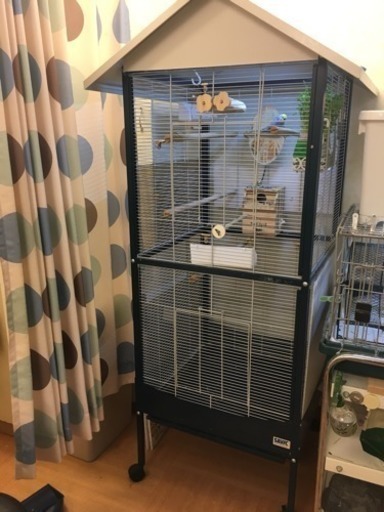 大型 バードゲージ