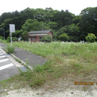 福岡、田んぼ、畑、空き地、草刈、格安、歩行式ハンマーナイフモア - 便利屋