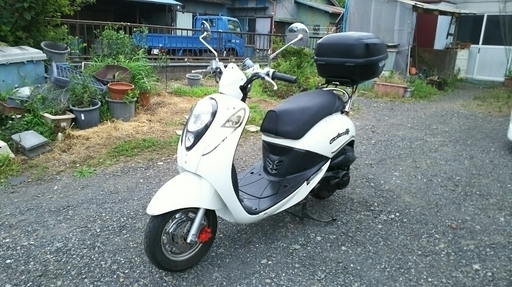 54 割引umi100 距離約 ワンツー ビーノ ｖ125 シグナス Cordonneriepedica Ca