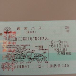 週末パス　6月10日分JR東日本鉄道乗車券