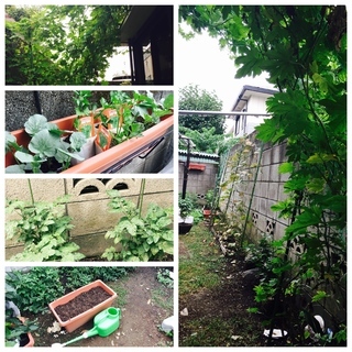 方南町駅から徒歩7分のシェアハウス！庭で野菜も育てています♪