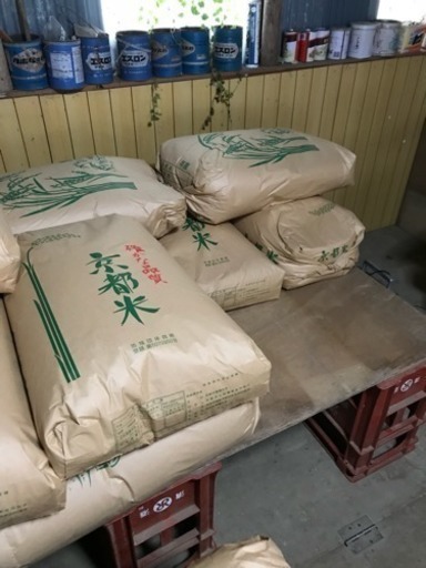 大好評❗️コシヒカリ20kg