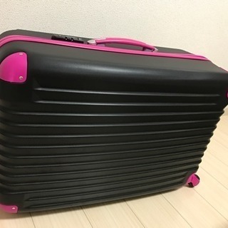 Lサイズのスーツケース
