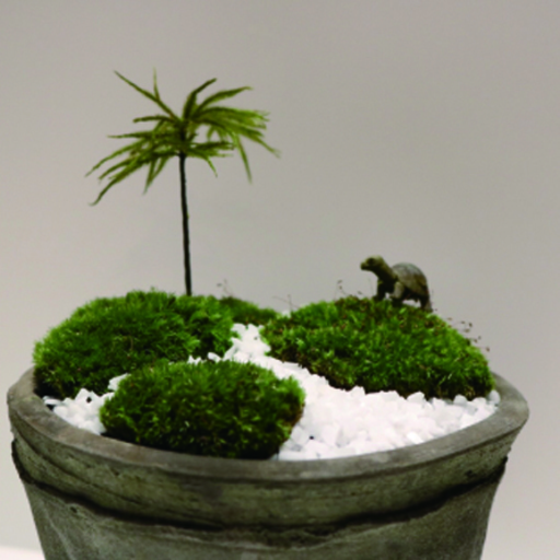 癒し体験 ミニ苔リウム ミニ苔盆栽作り Hana G 門真南のその他の生徒募集 教室 スクールの広告掲示板 ジモティー