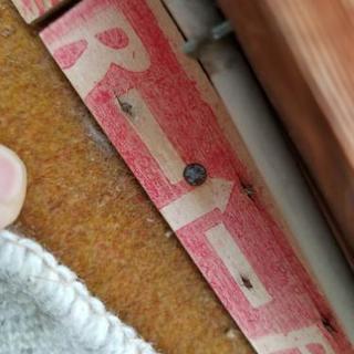 絨毯の床からフローリングにはりかえ