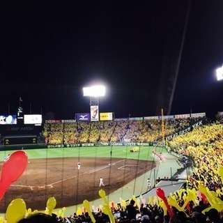 野球観戦仲間 募集🐯⚾️！！