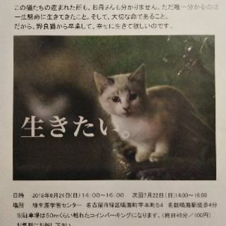 名古屋市緑区で保護猫の譲渡会を開催します。の画像