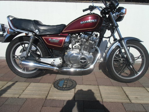 GSX250T GJ51B後期 程度上 7250ｋｍ ナンバー付き  霧島市