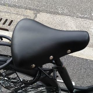台数限定！スポ－ツカジュアルバイク　サカモトテクノ　FRANKEL　マットブラック