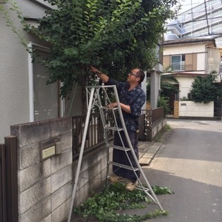 庭木1本から お庭の手入れ致します（所沢市 狭山市志木市新座市 ...