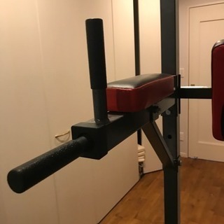 Total Fitness トータルフィットネス懸垂器具