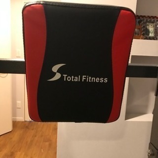 Total Fitness トータルフィットネス懸垂器具