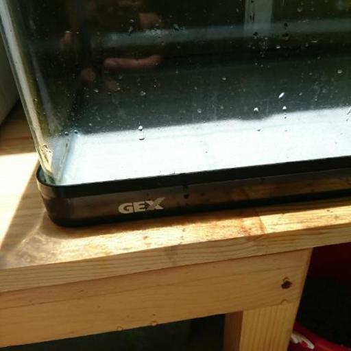 商談中 Gex60 枠ありガラス水槽 こなゆー 富田林の家具の中古あげます 譲ります ジモティーで不用品の処分