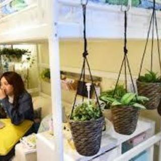 Ikea ハンギングプランター 2個セット なな 新松戸の家具の中古あげます 譲ります ジモティーで不用品の処分 Ikea ハンギングプランター 2個セット なな 新松戸の家具の中古あげます 譲ります ジモティーで不用品の処分