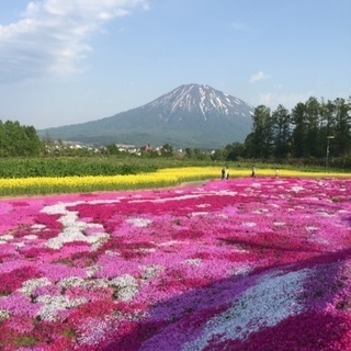 他県出身の北海道住みの友達募集💐