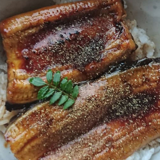 うなぎ釣り メンバー募集 ジモティー うなぎ釣り メンバー募集 ジモティー