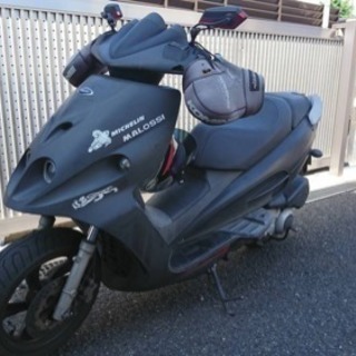 希少車 マラグーティ ファントムマックス250
