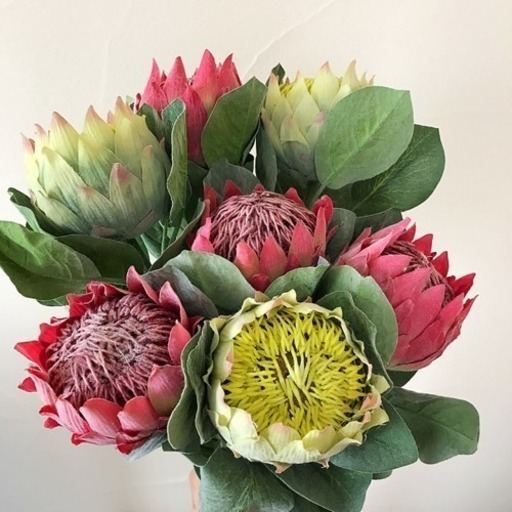 切り花 造花 インテリア 花 飾り プロテア やす 一宮の生活雑貨の中古あげます 譲ります ジモティーで不用品の処分
