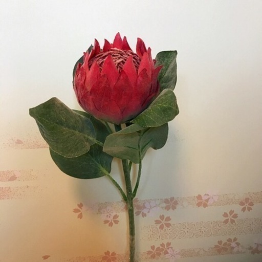切り花 造花 インテリア 花 飾り プロテア やす 一宮の生活雑貨の中古あげます 譲ります ジモティーで不用品の処分