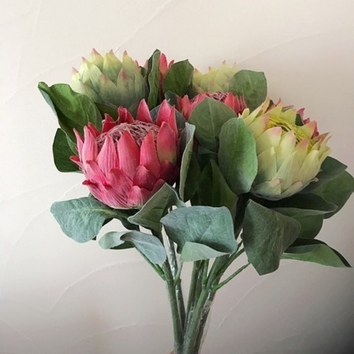 切り花 造花 インテリア 花 飾り プロテア やす 一宮の生活雑貨の中古あげます 譲ります ジモティーで不用品の処分