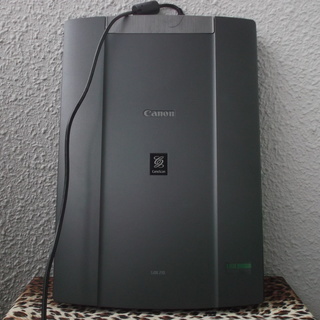 Canon Scan LiDE210