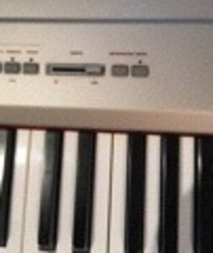 Korg SP200 Repair Parts and Accessories - Syntaur KORG SP-200 
