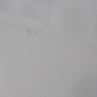 安心の1年保証付！2017年製TOSHIBA(東芝)の全自動洗濯機「AW-5G5」です！