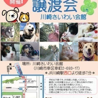 保護犬猫譲渡会   in川崎の画像
