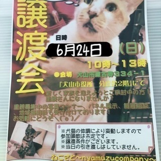 犬山6.24 保護猫譲渡会