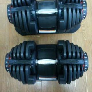 28日まで 美品 アジャスタブルダンベル 可能式ダンベル40kg 2個セットの画像