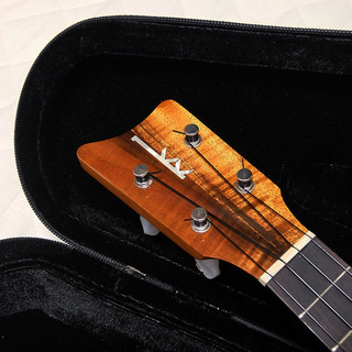 ウクレレ カマカ HF2 FISHMAN PU内蔵