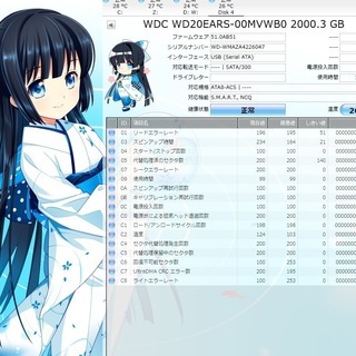 ２台セット WD(WesternDigital) 2TB SATA HDD 3.5インチ  その２