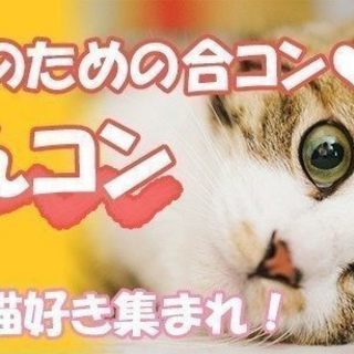 ＜恋活・婚活＞ にゃんコン ☆猫好き集まれ！7月8日（日）14時...