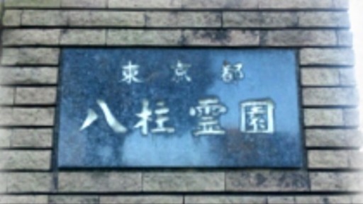 墓参り代行 都立八柱霊園他