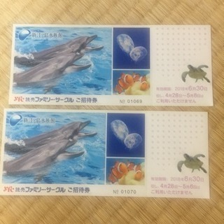 新江ノ島水族館招待券二枚6月30日まで