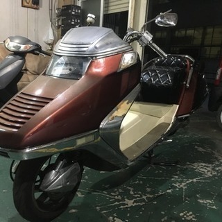 フュージョン カスタム！