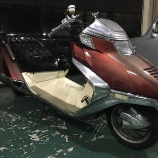 フュージョン カスタム！