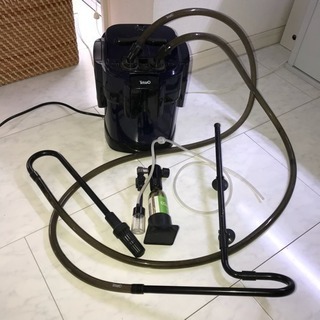 60cm水槽 アクアリウム フルセット セット 水草 スターターキット