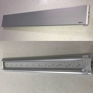 60cm水槽 アクアリウム フルセット セット 水草 スターターキット