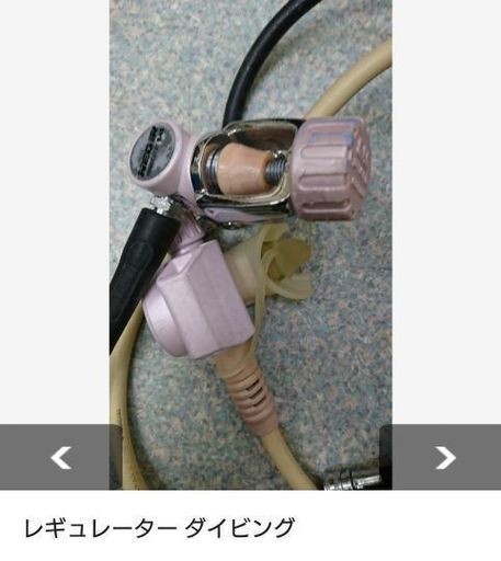 レギュレーター ベスト フィン