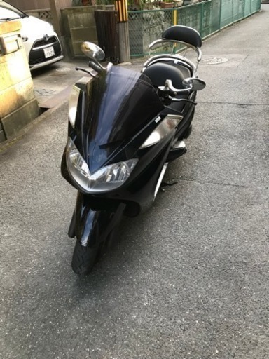 人気のマジェスティ