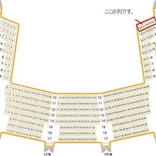 ピーターパン　ミュージカル　東京国際フォーラム７月２８日(土)　S席２階最前列大人二枚子供１枚
