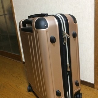 新品 スーツケース パールピンクシルバー？
