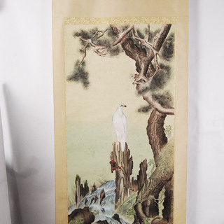白鷹 大型掛軸　松　絹本絹製　二重箱　共箱　アントレ