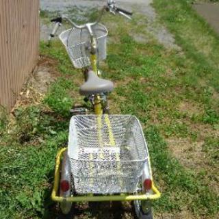 🚲三輪自転車🚲