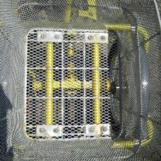 🚲三輪自転車🚲