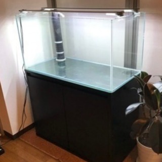 90cmオーバーフロー水槽 neuroid.uprrp.edu