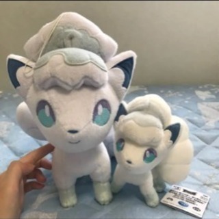 ポケモン ロコンセット