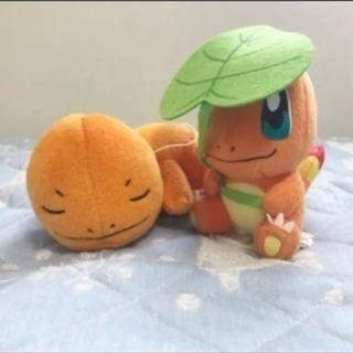 ポケモン ヒトカゲ